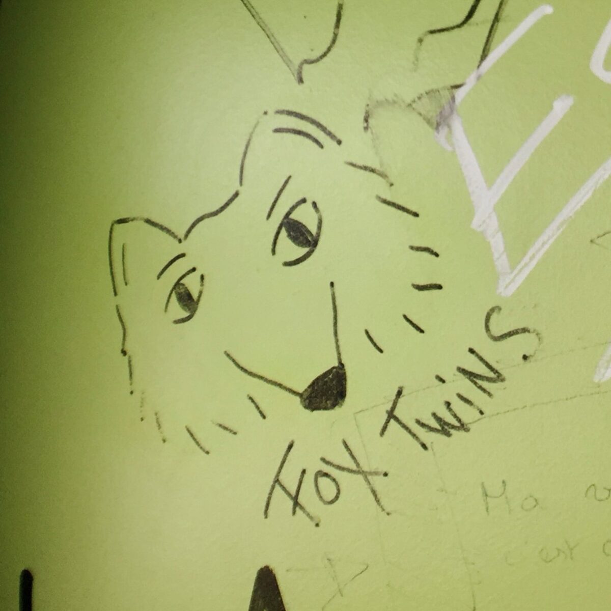 tête de renard en graffiti sur fond vert
